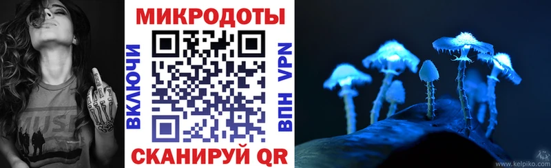 kraken зеркало  Ачхой-Мартан  мориарти наркотические препараты  Галлюциногенные грибы Cubensis 