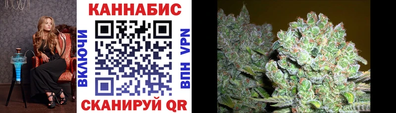 где купить наркоту  Ачхой-Мартан  Канабис Ganja 